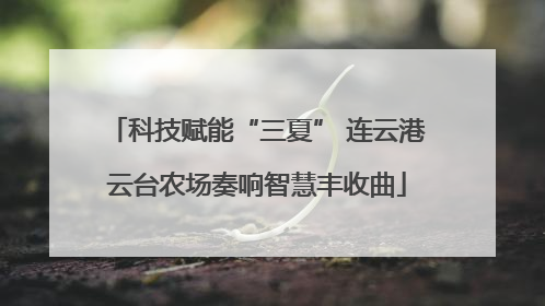 科技赋能“三夏” 连云港云台农场奏响智慧丰收曲