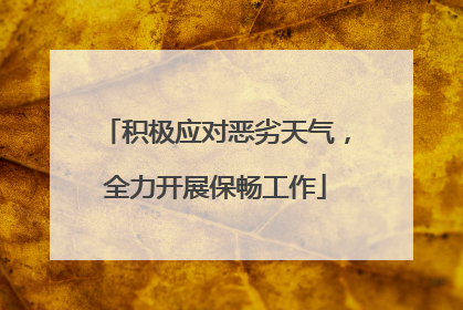 积极应对恶劣天气，全力开展保畅工作