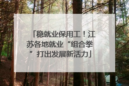 稳就业保用工！江苏各地就业“组合拳”打出发展新活力