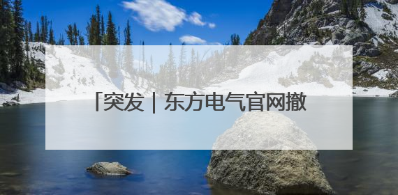 突发｜东方电气官网撤下董事长俞培根信息