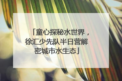 童心探秘水世界，徐汇少先队半日营解密城市水生态