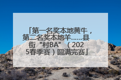第一名奖本地黄牛，第二名奖本地羊……县街“村BA”（2025春季赛）圆满完赛