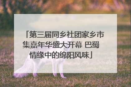 第三届同乡社团家乡市集嘉年华盛大开幕 巴蜀情缘中的绵阳风味
