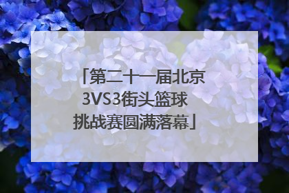 第二十一届北京3VS3街头篮球挑战赛圆满落幕