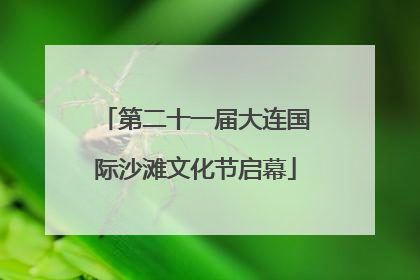 第二十一届大连国际沙滩文化节启幕