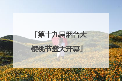 第十九届烟台大樱桃节盛大开幕