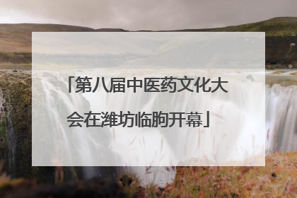 第八届中医药文化大会在潍坊临朐开幕