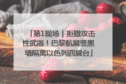 第1现场｜拒撤攻击性武器！巴黎航展竖黑墙隔离以色列四展台