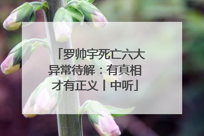罗帅宇死亡六大异常待解：有真相才有正义丨中听