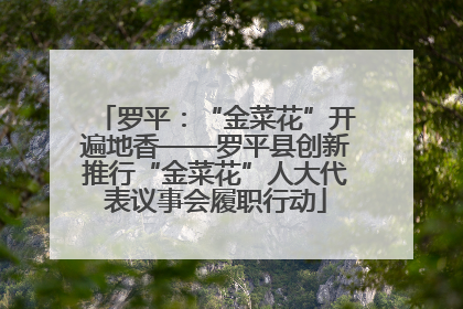 罗平：“金菜花”开遍地香——罗平县创新推行“金菜花”人大代表议事会履职行动