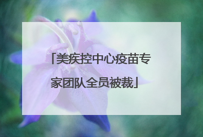 美疾控中心疫苗专家团队全员被裁