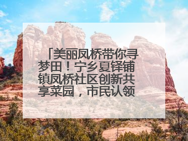 美丽凤桥带你寻梦田！宁乡夏铎铺镇凤桥社区创新共享菜园，市民认领菜土，体验耕种收获乐趣