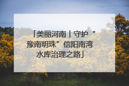 美丽河南丨守护“豫南明珠”信阳南湾水库治理之路