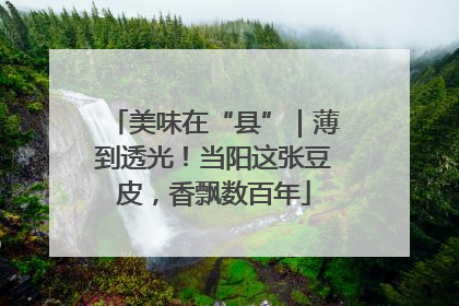 美味在“县”｜薄到透光！当阳这张豆皮，香飘数百年