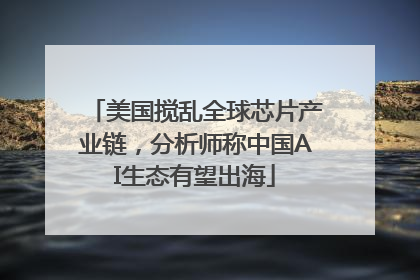 美国搅乱全球芯片产业链，分析师称中国AI生态有望出海