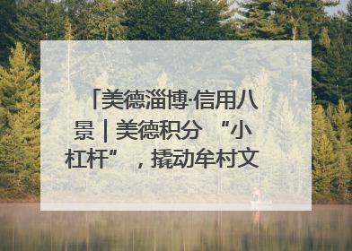 美德淄博·信用八景｜美德积分 “小杠杆”，撬动牟村文明 “大能量”