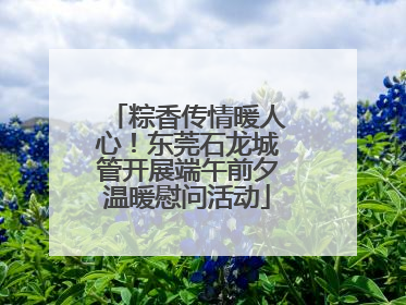 粽香传情暖人心！东莞石龙城管开展端午前夕温暖慰问活动