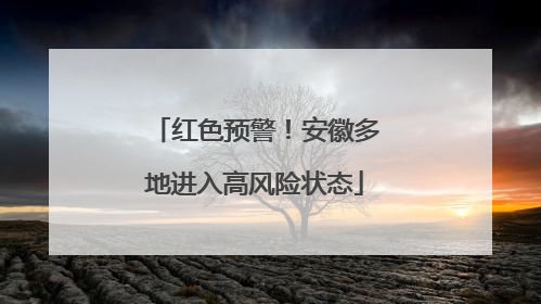 红色预警！安徽多地进入高风险状态