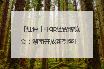 红评丨中非经贸博览会：湖南开放新引擎