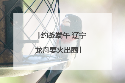 约战端午 辽宁龙舟要火出圈