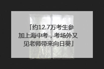 约12.7万考生参加上海中考，考场外又见老师带来向日葵