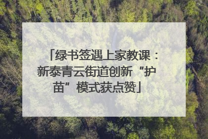 绿书签遇上家教课：新泰青云街道创新“护苗”模式获点赞