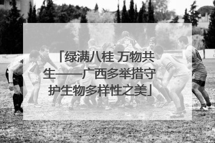 绿满八桂 万物共生——广西多举措守护生物多样性之美