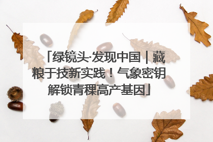 绿镜头·发现中国｜藏粮于技新实践！气象密钥解锁青稞高产基因