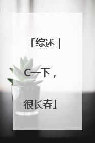 综述｜C一下，很长春