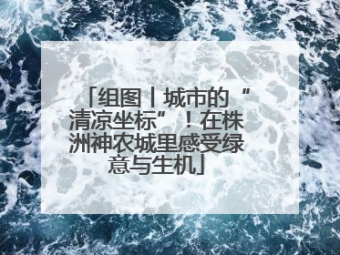 组图丨城市的“清凉坐标”！在株洲神农城里感受绿意与生机