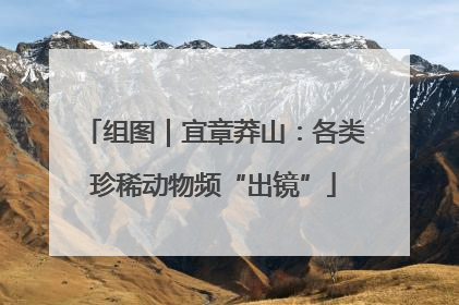 组图｜宜章莽山：各类珍稀动物频“出镜”