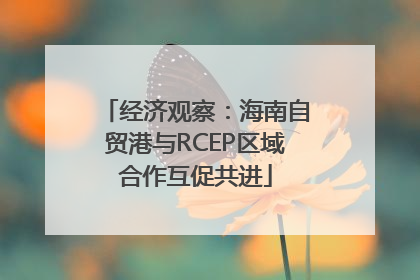 经济观察：海南自贸港与RCEP区域合作互促共进