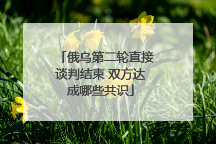 俄乌第二轮直接谈判结束 双方达成哪些共识