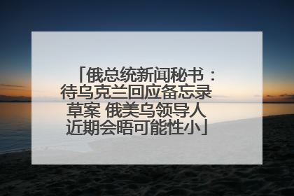 俄总统新闻秘书：待乌克兰回应备忘录草案 俄美乌领导人近期会晤可能性小