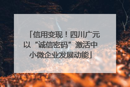 信用变现！四川广元以“诚信密码”激活中小微企业发展动能