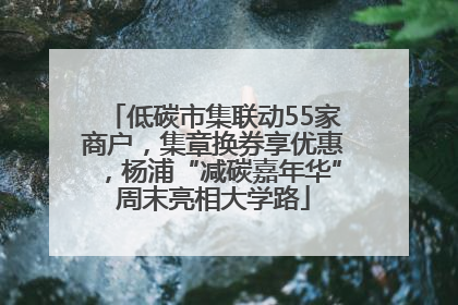 低碳市集联动55家商户，集章换券享优惠，杨浦“减碳嘉年华”周末亮相大学路