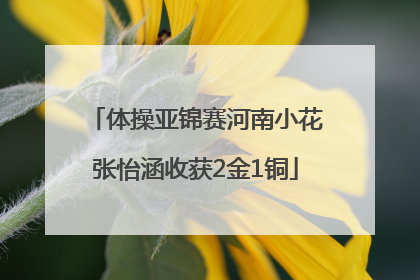 体操亚锦赛河南小花张怡涵收获2金1铜