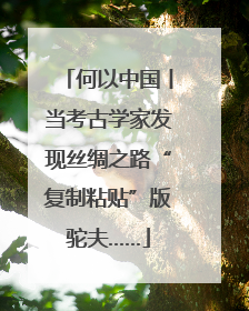 何以中国丨当考古学家发现丝绸之路“复制粘贴”版驼夫……