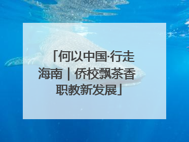 何以中国·行走海南｜侨校飘茶香 职教新发展