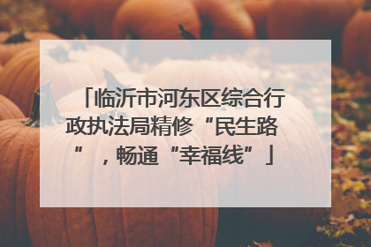 临沂市河东区综合行政执法局精修“民生路”，畅通“幸福线”
