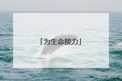 为生命接力