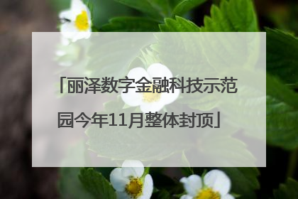 丽泽数字金融科技示范园今年11月整体封顶