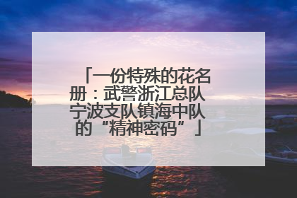 一份特殊的花名册：武警浙江总队宁波支队镇海中队的“精神密码”