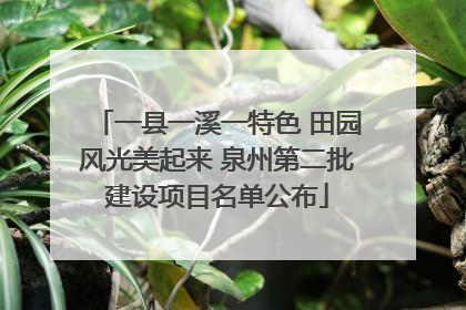 一县一溪一特色 田园风光美起来 泉州第二批建设项目名单公布
