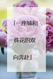 一座城和一株花的双向奔赴