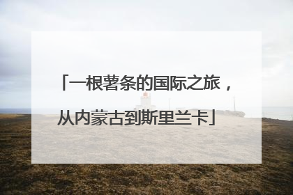 一根薯条的国际之旅，从内蒙古到斯里兰卡