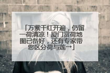 万紫千红开遍，仍留一荷清凉！厦门赏荷地图已备好，还有专家带您区分荷与莲→