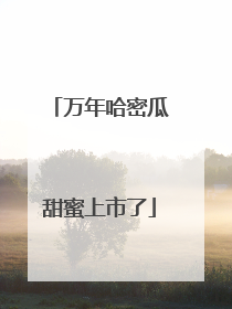 万年哈密瓜甜蜜上市了