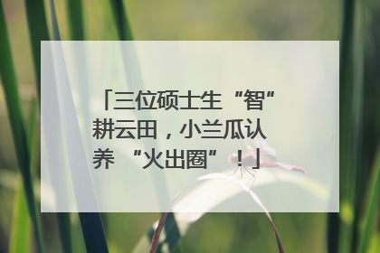 三位硕士生“智” 耕云田，小兰瓜认养 “火出圈”！