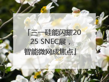 三一硅能闪耀2025 SNEC展，智能微网成焦点